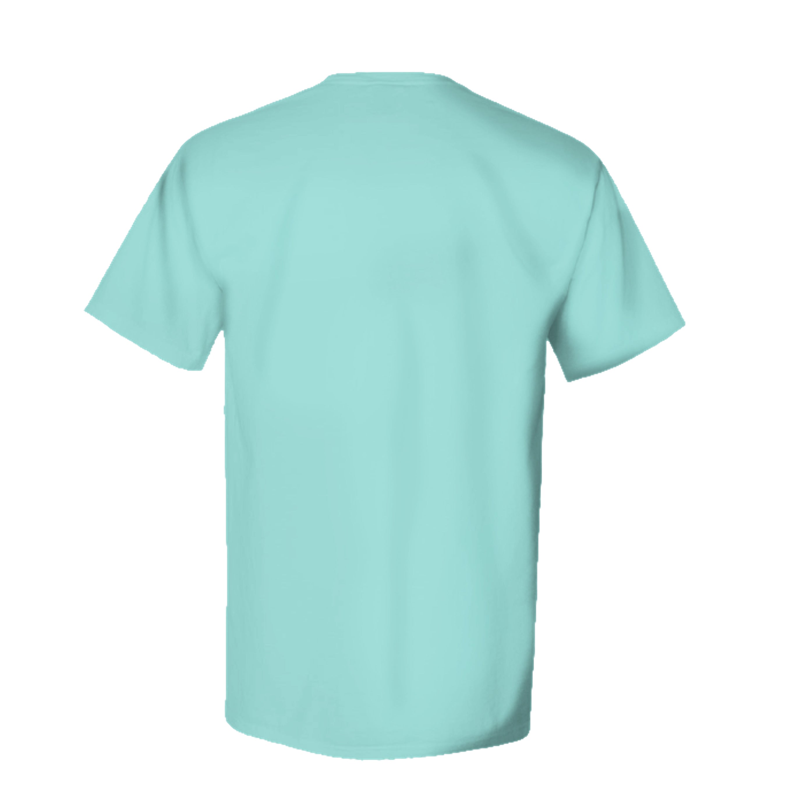 MINT - GDH100 - BACK